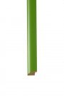802lime_thumb.JPG