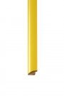 802yellow_thumb.JPG
