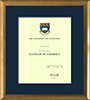 Tertiary Qualifications frames